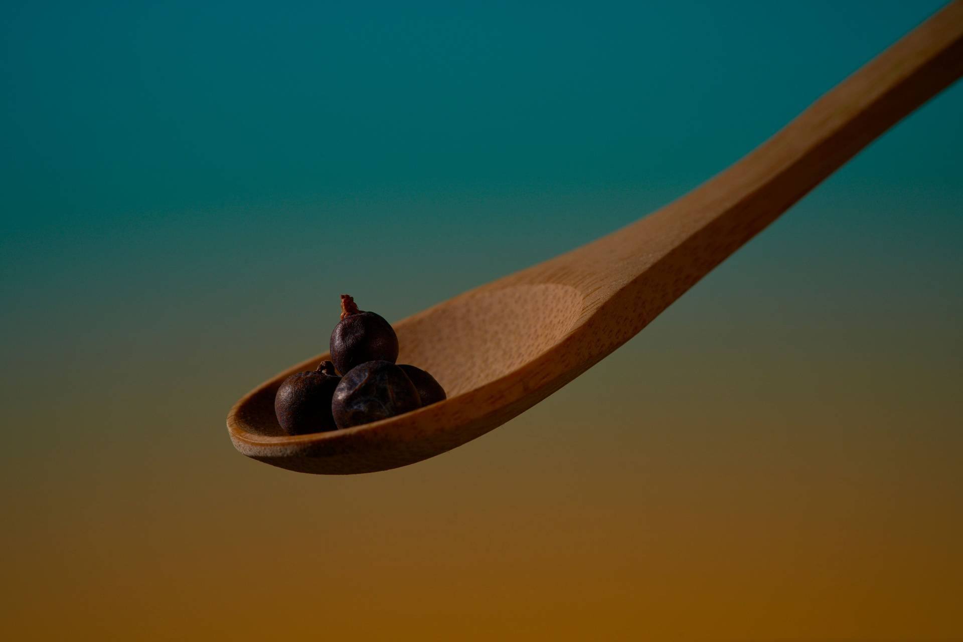 juniper berries on a wooden spoon on blue and orange background