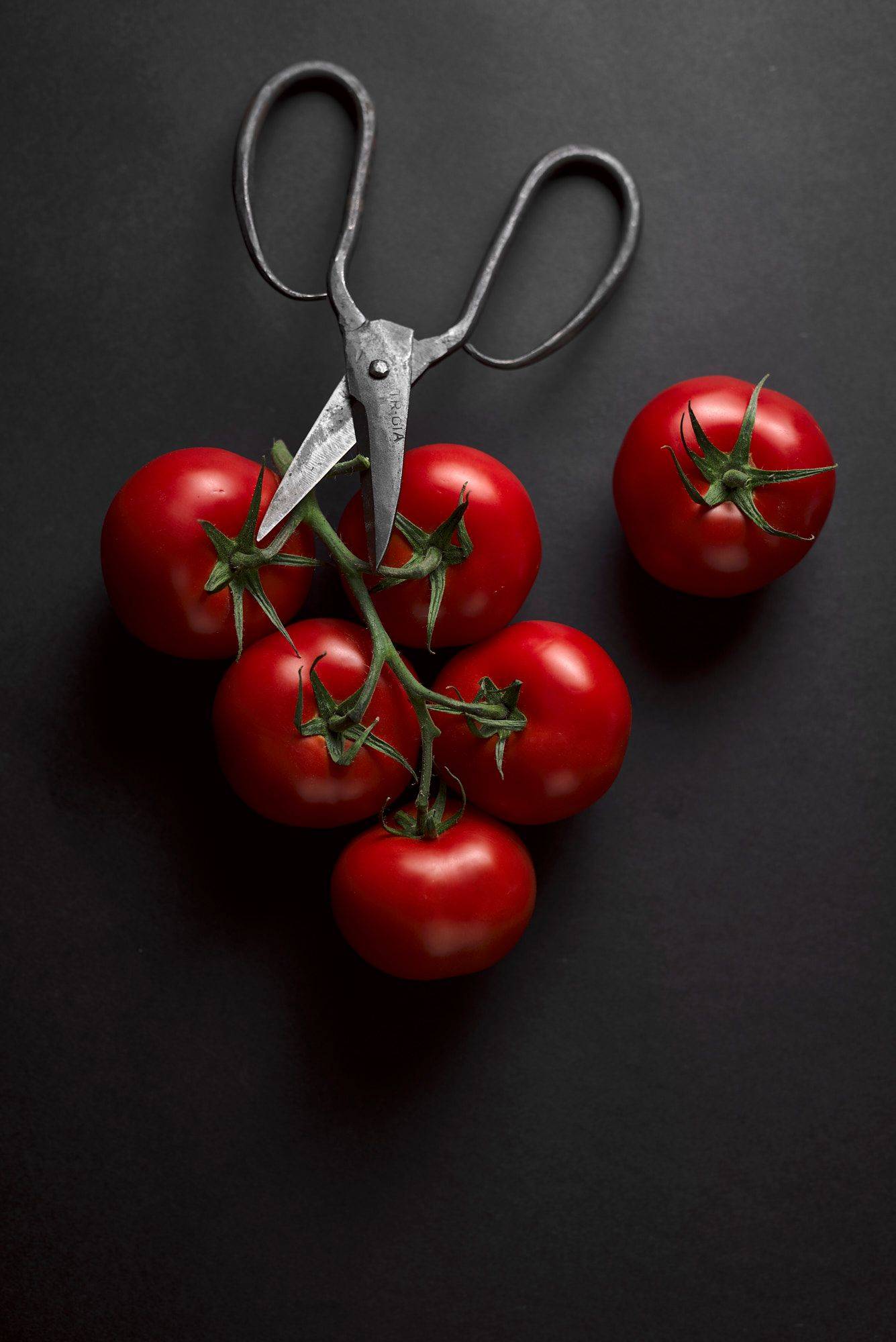 six ripe red tomatoes with vintage scissors on black background