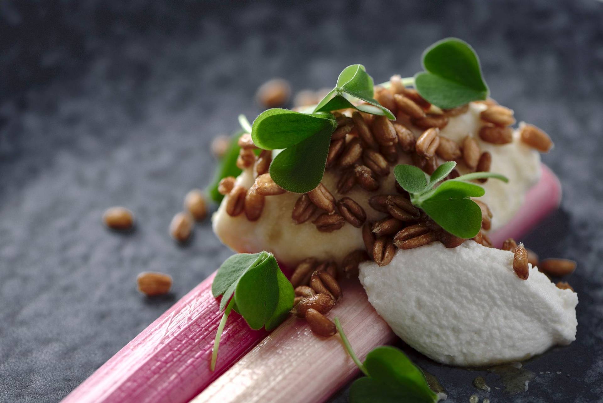 braised rhubarb with vegan ricotta spelt pops and sorrel on a blue plate