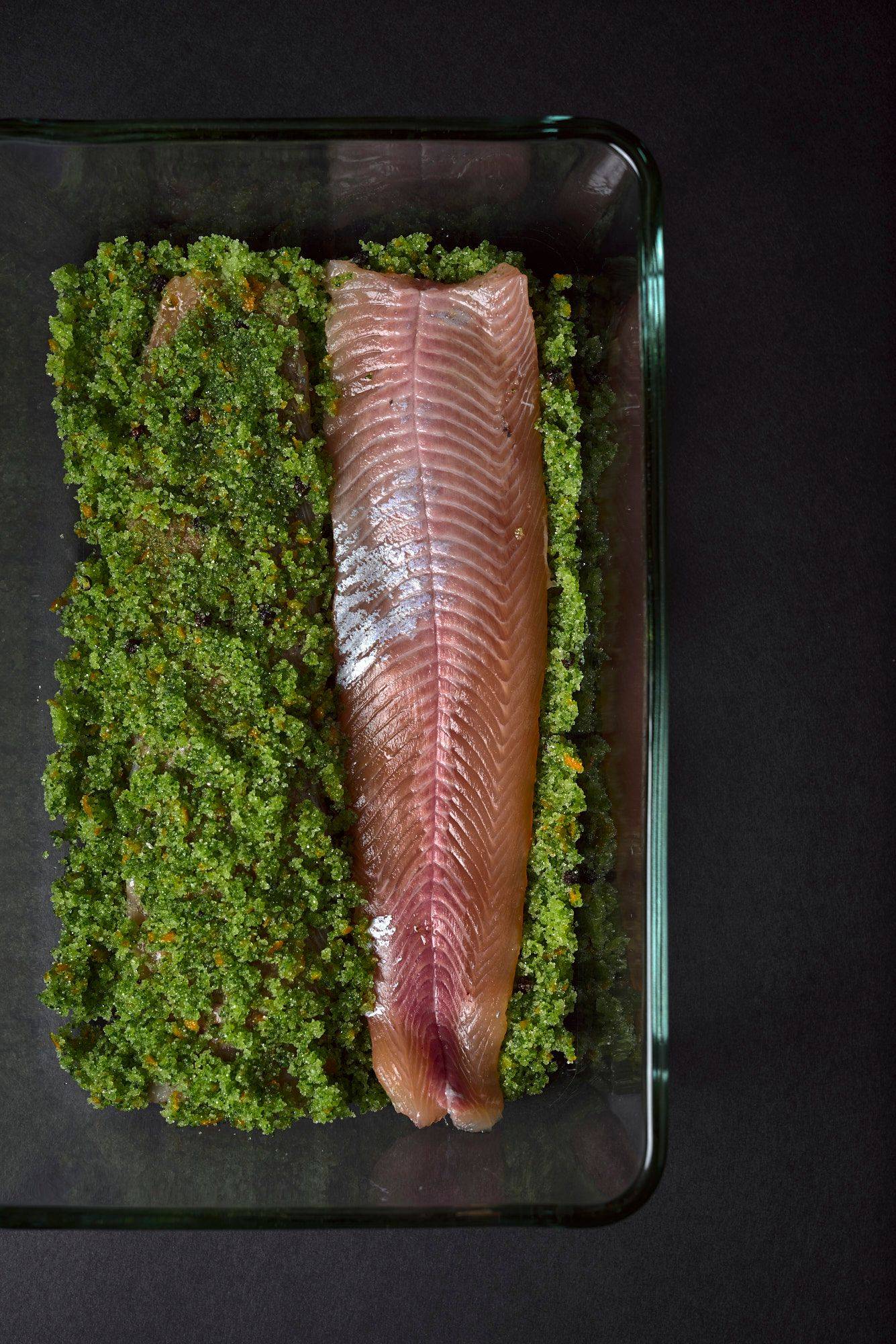 char fillets cured in basil and orange with black background