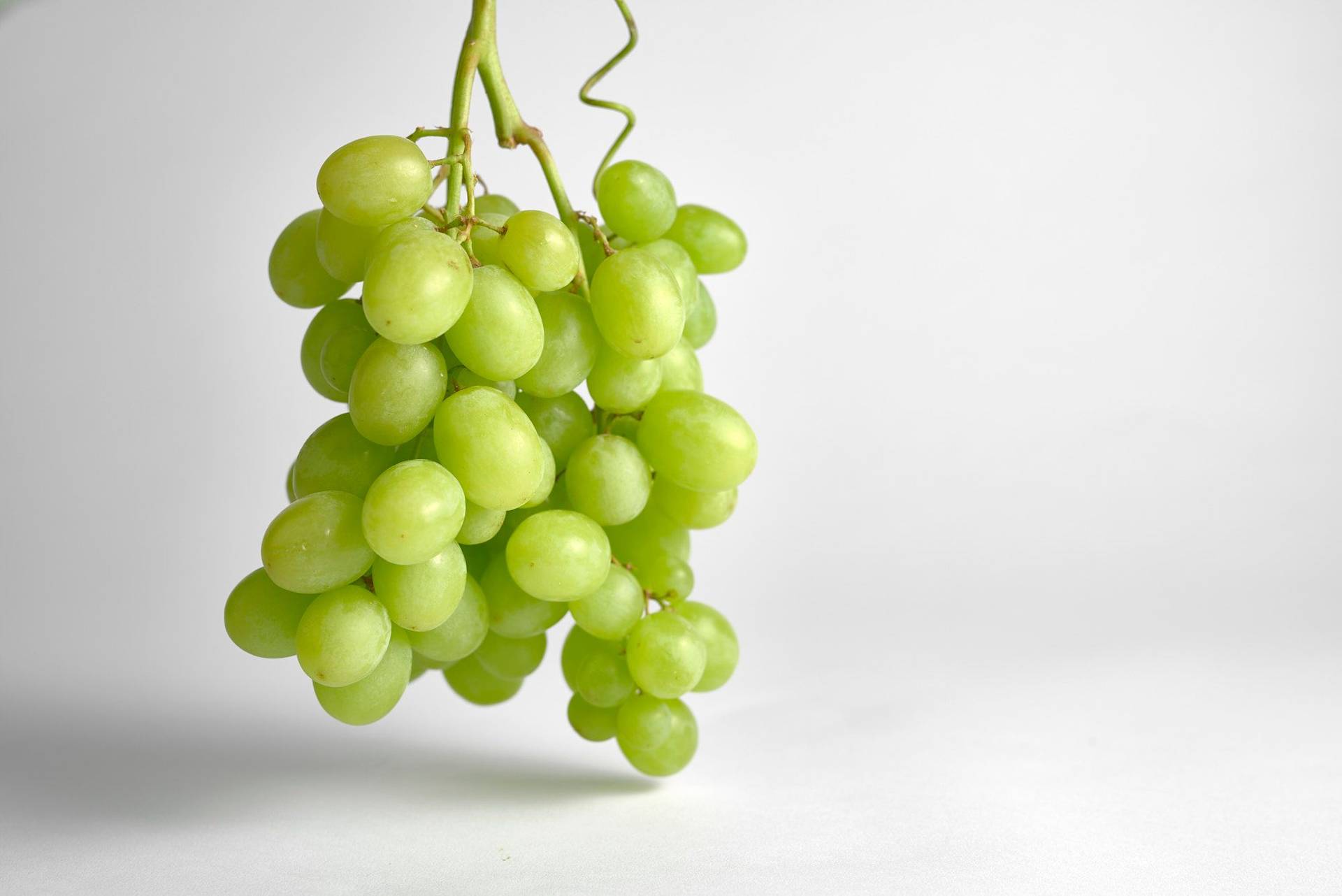 white grapes on white background