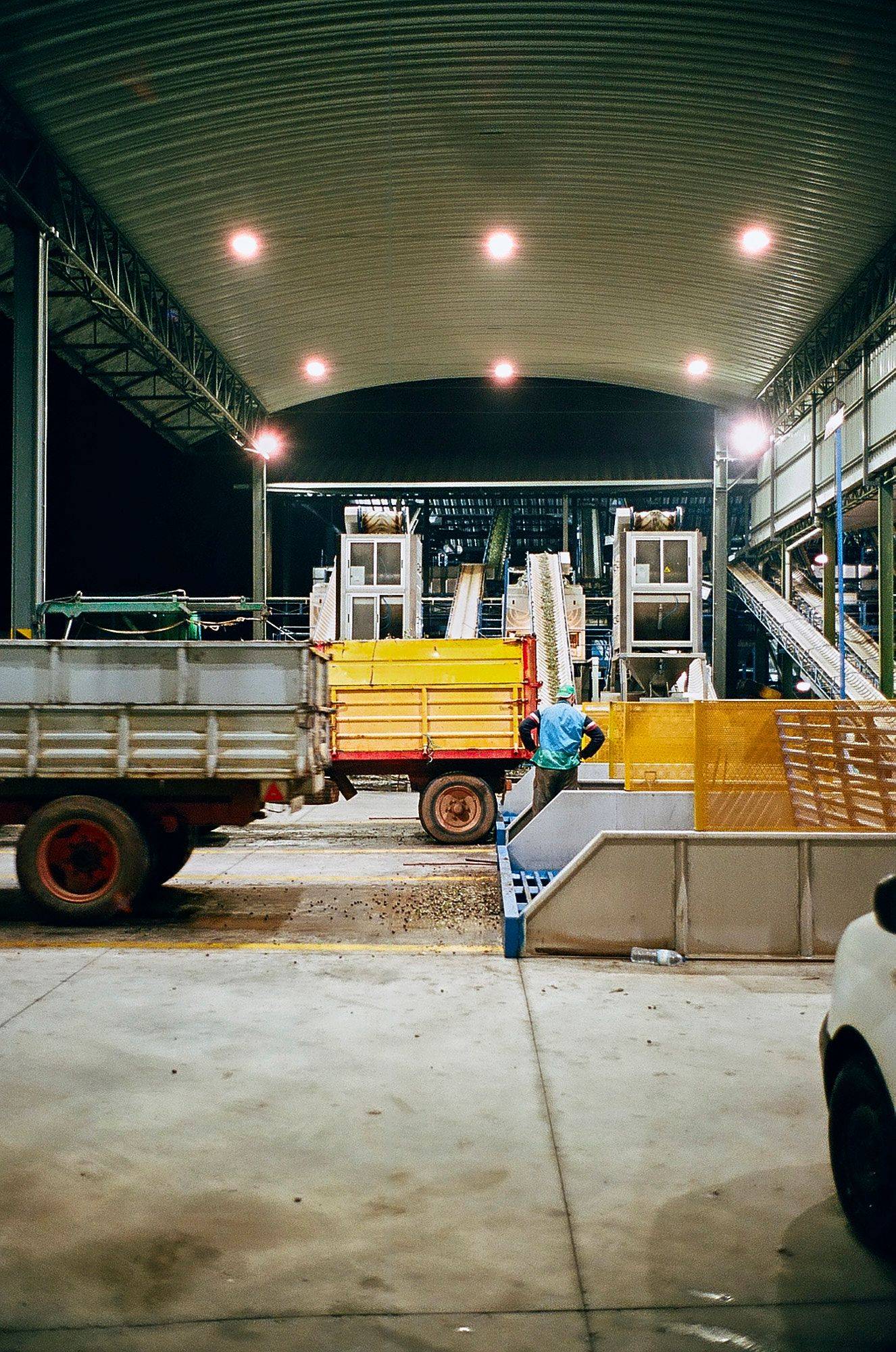 olive oil production at camb in alentejo