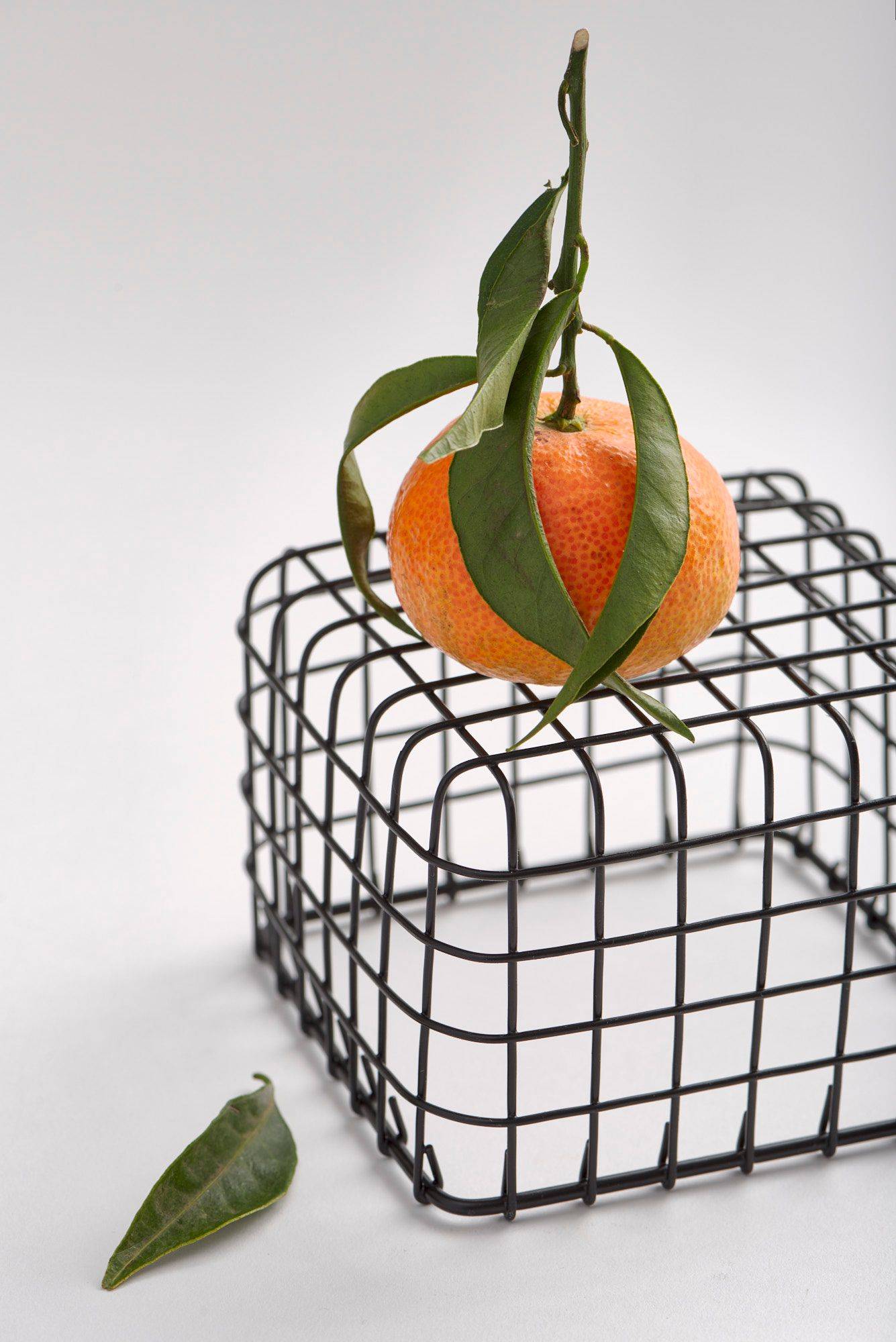 tangerine on white background