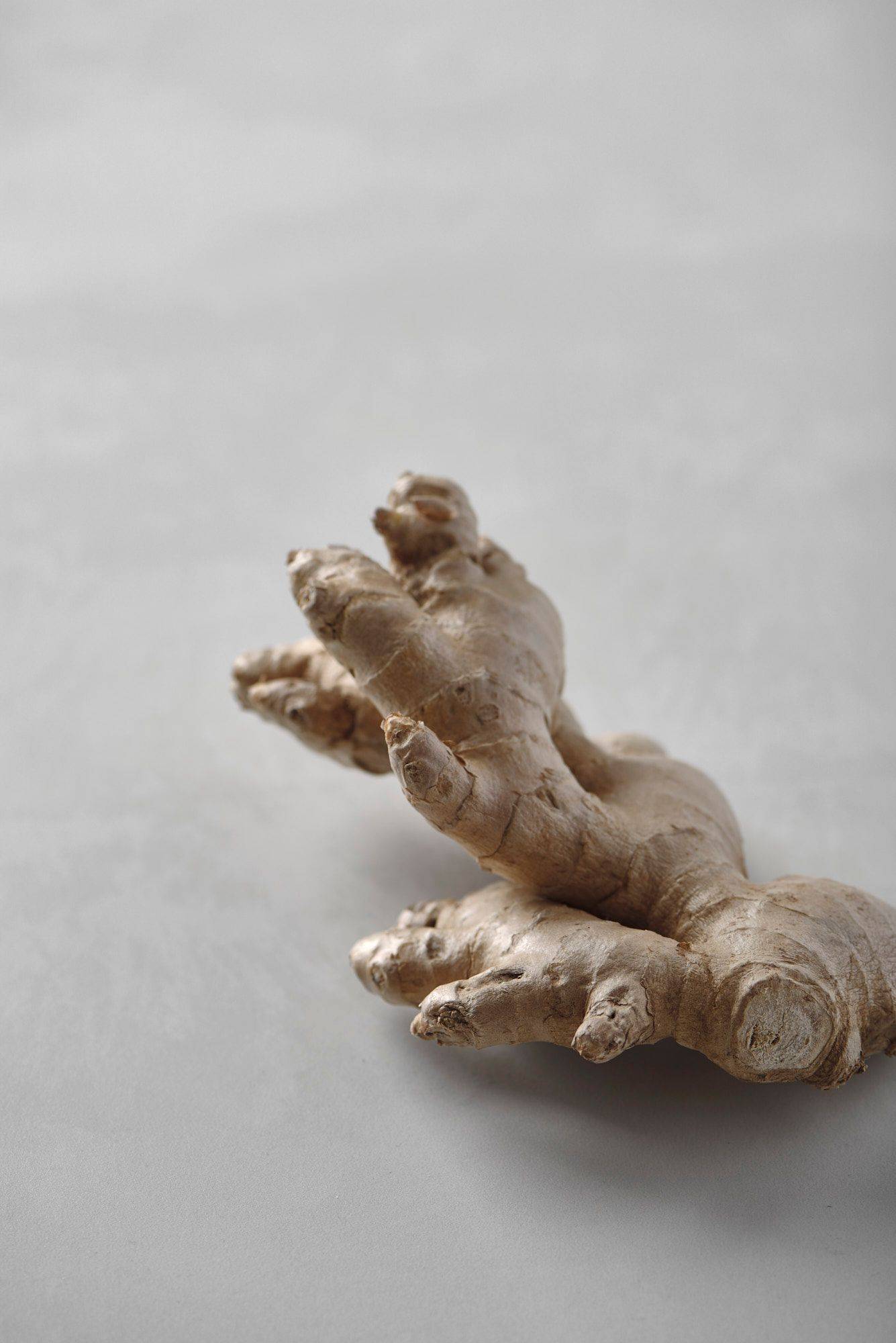 ginger ginger with sapienstone top