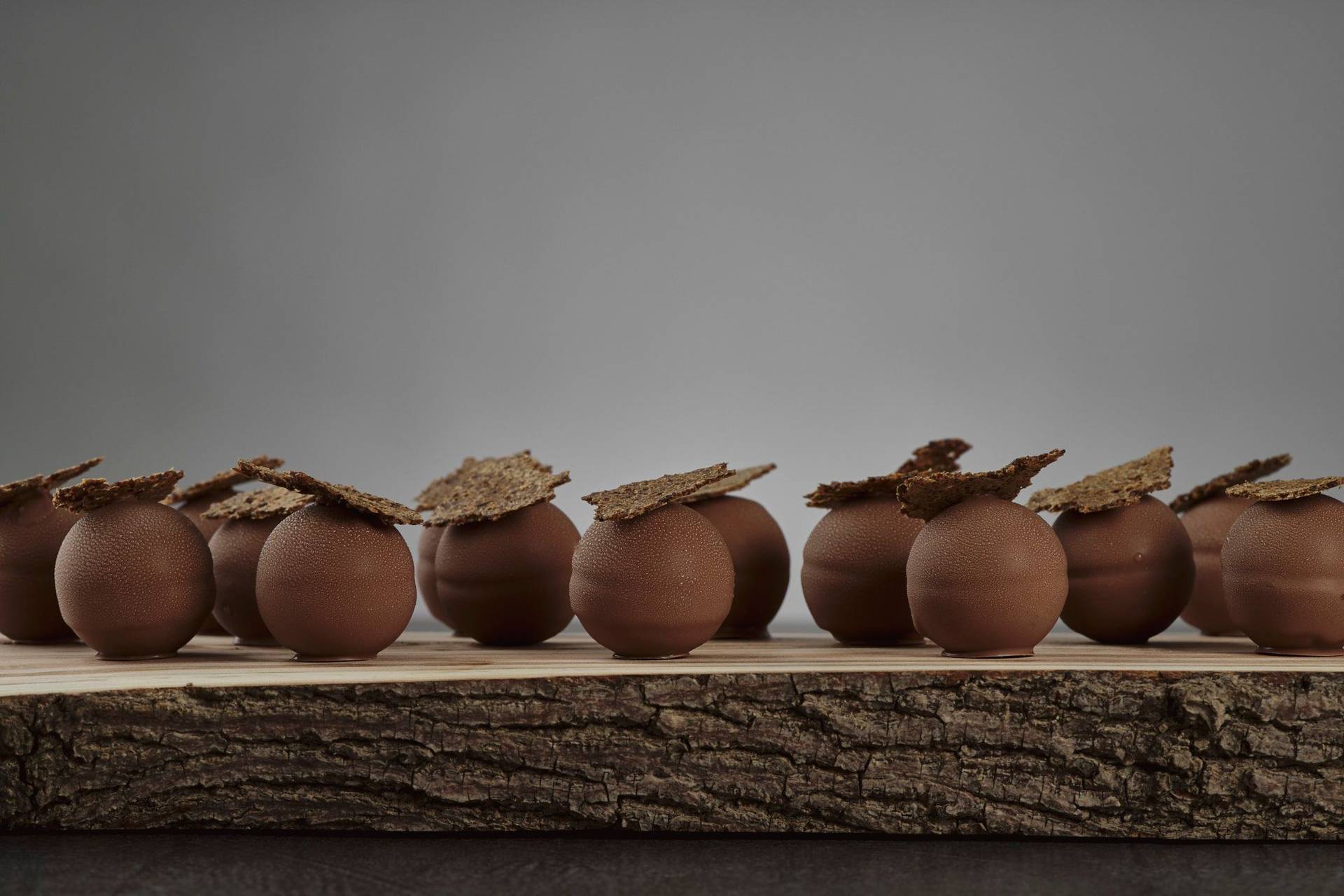 schokoladen-und-roggen-trueffel-pralinen schokoladen und roggen trueffel pralinen auf einem holzbrett mit grauem sapienstone top
