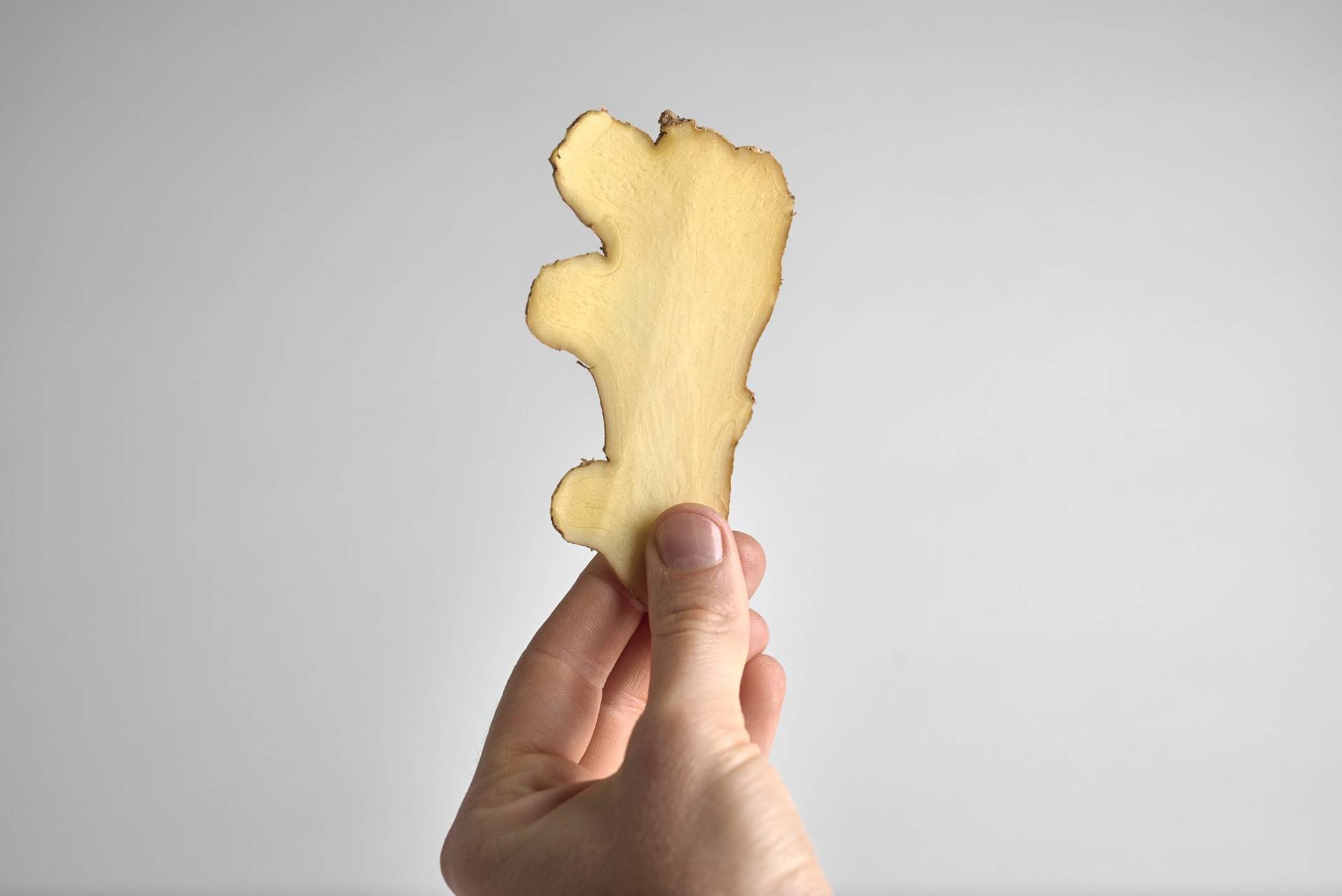 ingwer hand hält eine scheibe ingwer mit weißem hintergrund