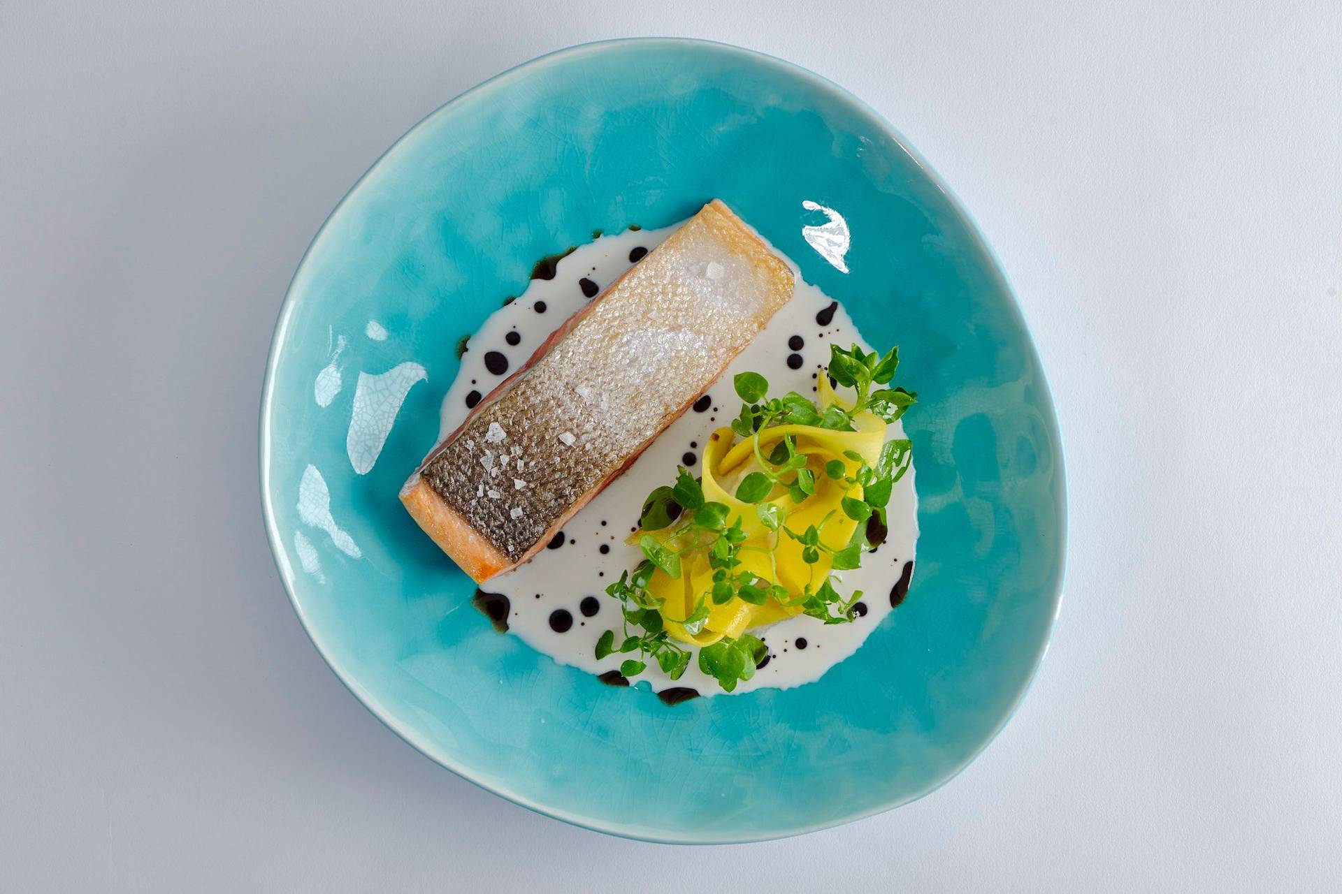 crispy salmon with black salsify coconut broth and spiced coffee on a turquoise plate with white background