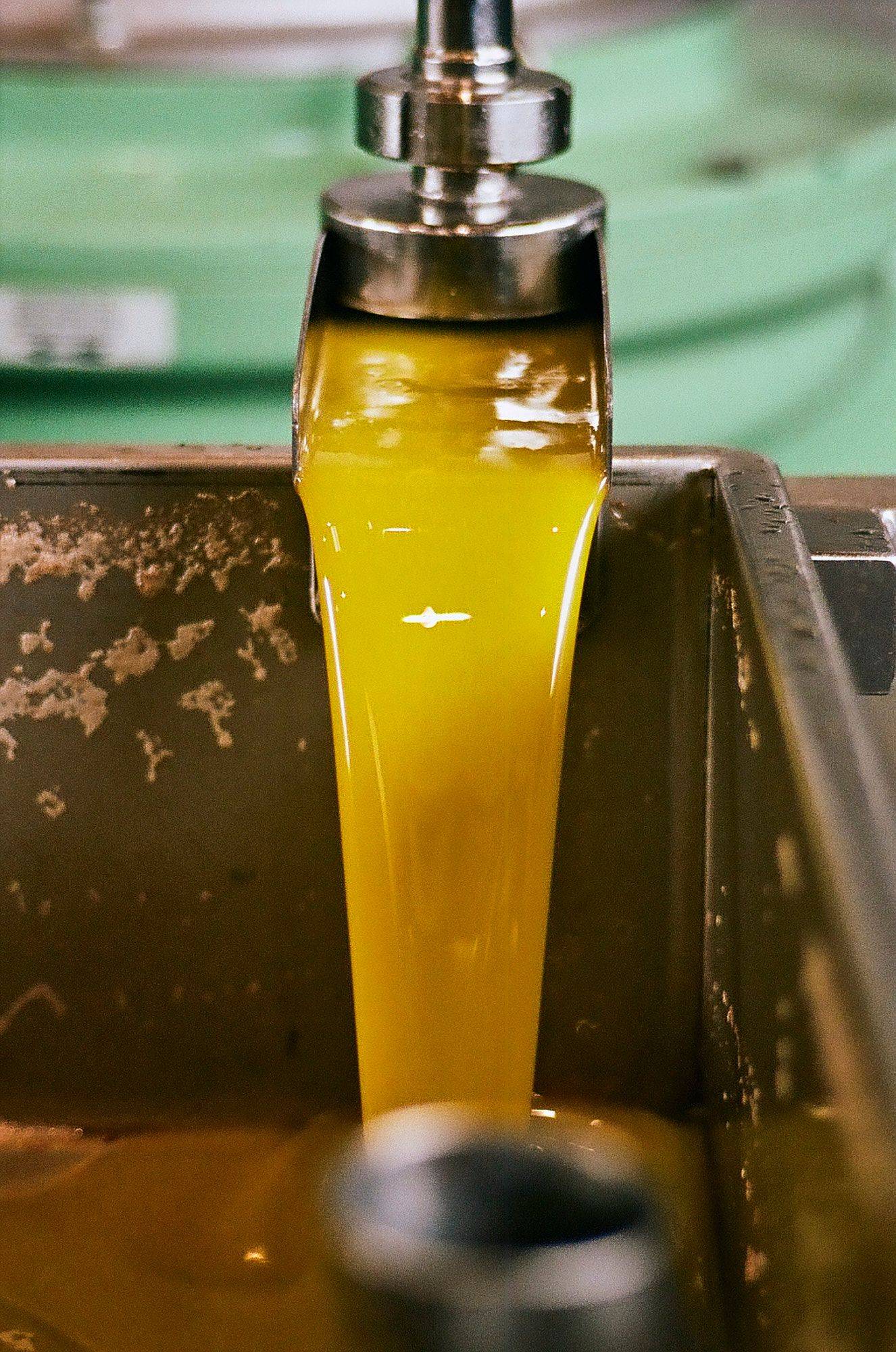 olive oil production in alentejo