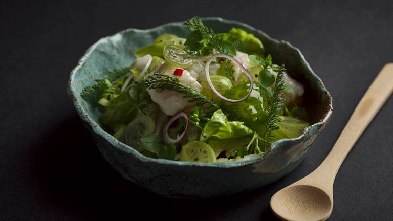 Kabeljau Ceviche mit Stachelbeeren